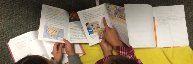 Celeste Ferranti banner