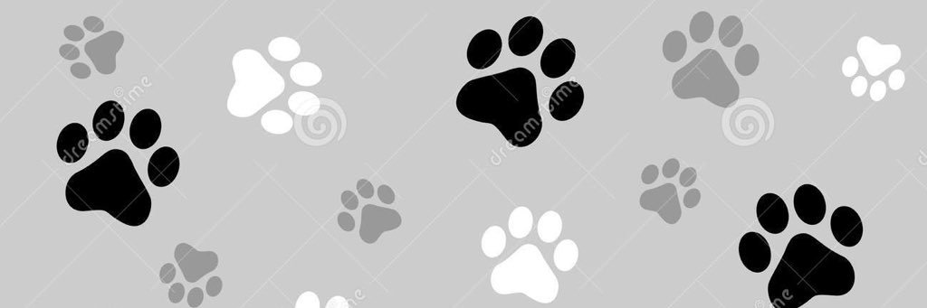 Owen J. Roberts Cheer banner