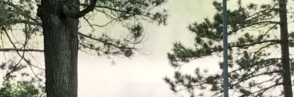 abby_ryan001's profile banner image
