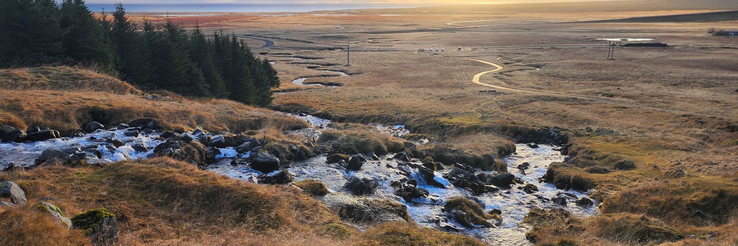 1804extremist banner