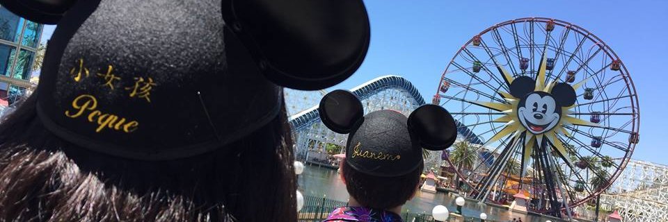 DisneyFansMX's profile banner image