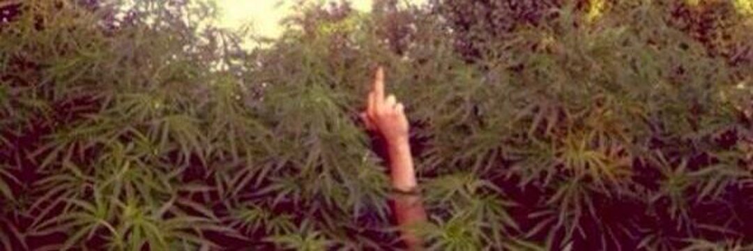 mooseyjayy's profile banner image