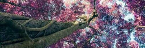 DanilaPerBa's profile banner image