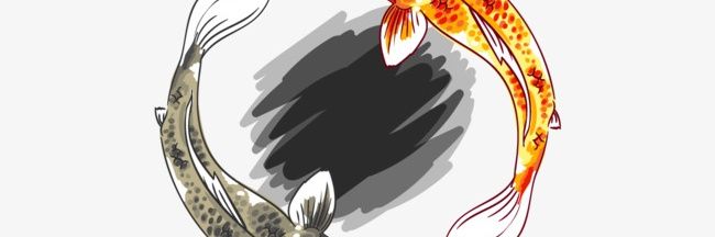 47pbp's profile banner image