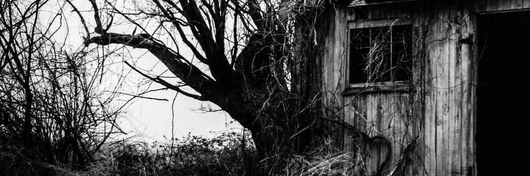 TATTERSNAP's profile banner image