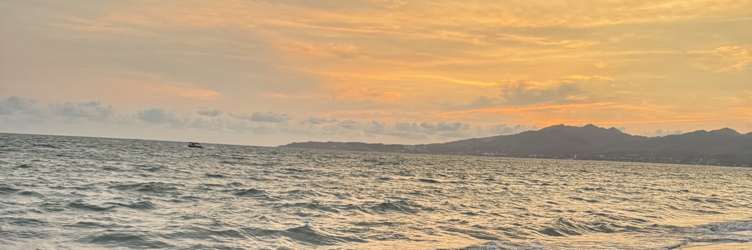 Abbie Kron banner