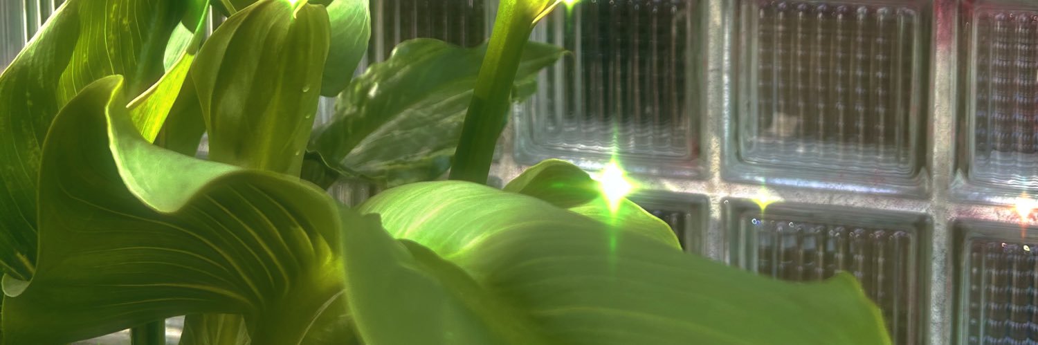 divastar_69's profile banner image