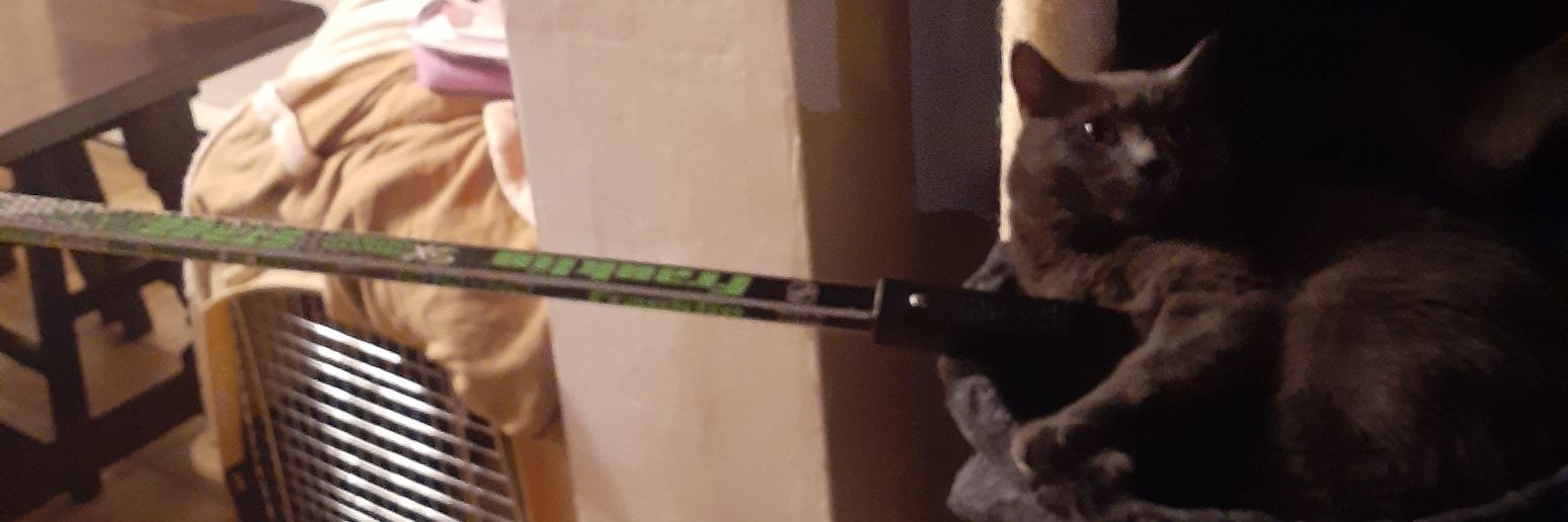 Hey, Look Its Me banner