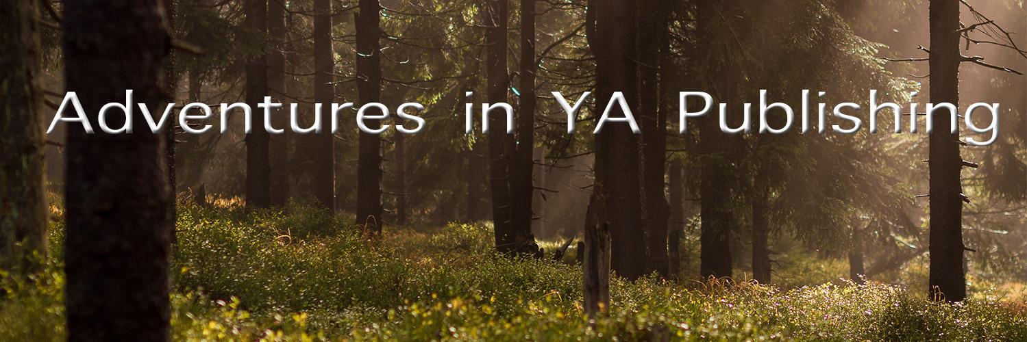 ayaplit's profile banner image