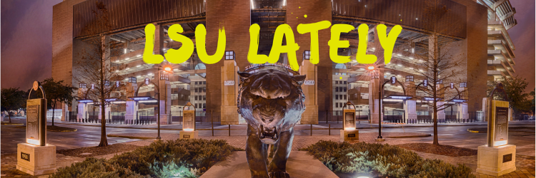 lsulately's profile banner image