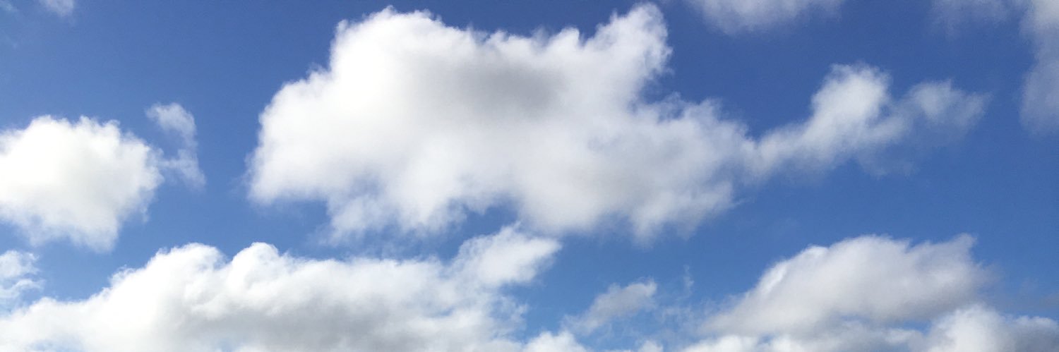 BrisaOrellano4's profile banner image