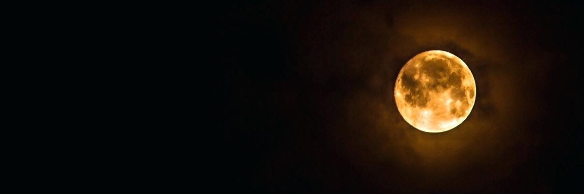 TheWitchesVoice's profile banner image