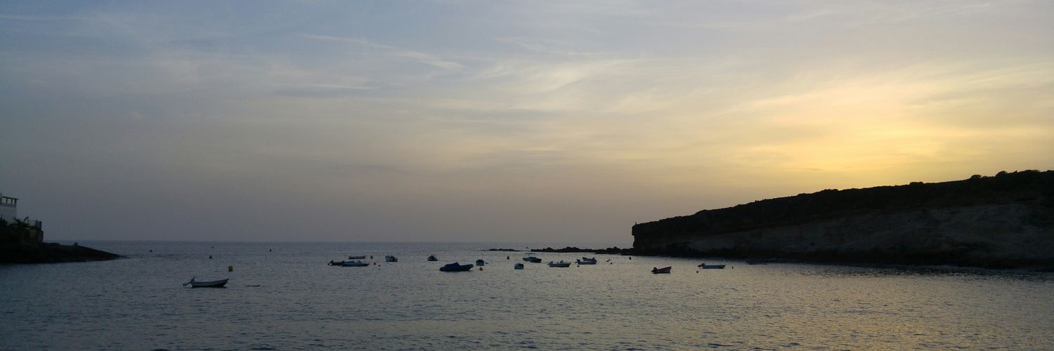 Elvis Sánchez banner