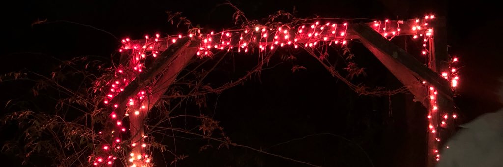 zeusbabie's profile banner image