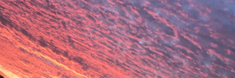 AliceHelas's profile banner image