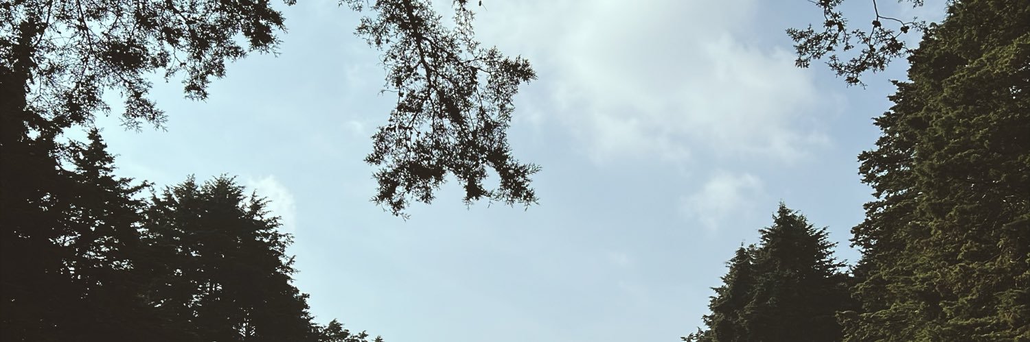 _alegarciaa's profile banner image