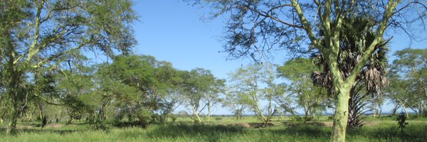 BBlaimer Profile Banner