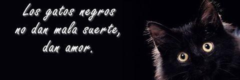 suggar991's profile banner image