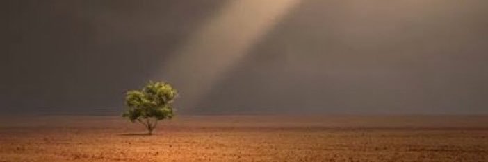 عبدالحميد الهليل banner