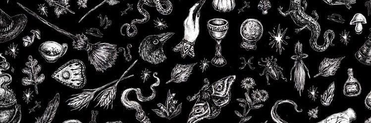 EmilyLanos's profile banner image