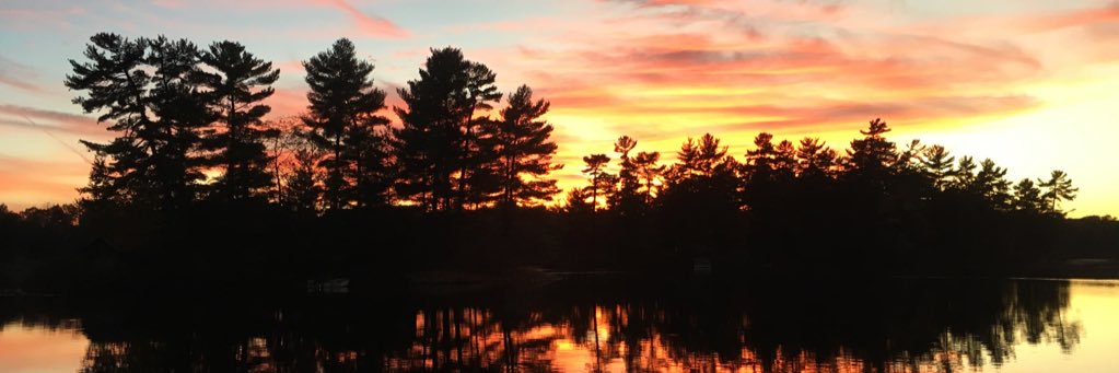 BVolart's profile banner image