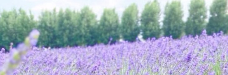 mamesuke_000's profile banner image