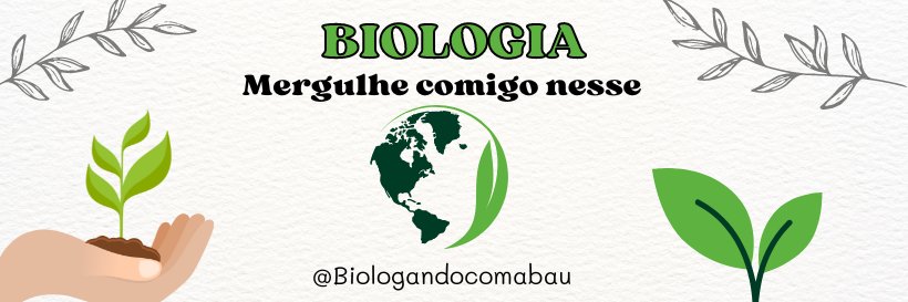 bauzanatto's profile banner image