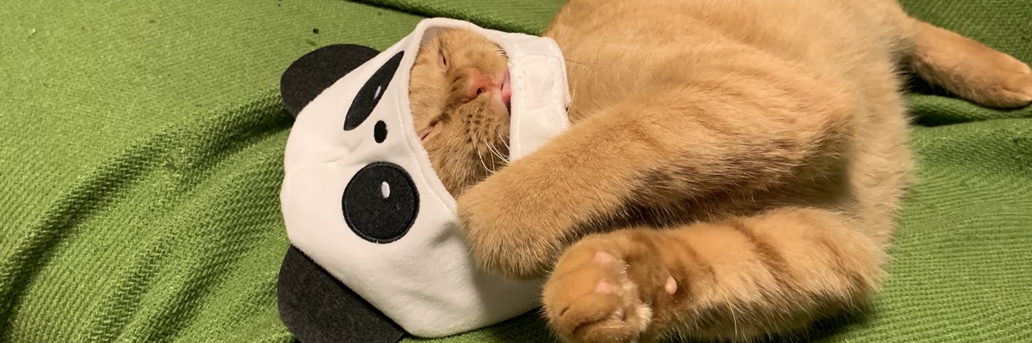 amelikesplants's profile banner image