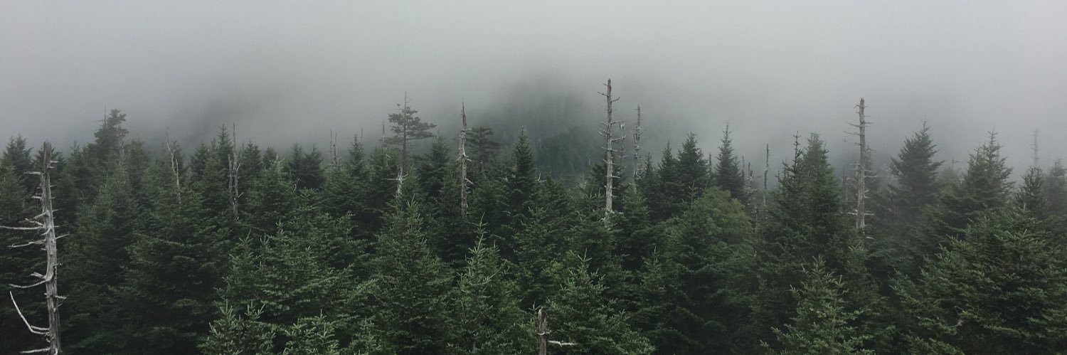 dylongb's profile banner image