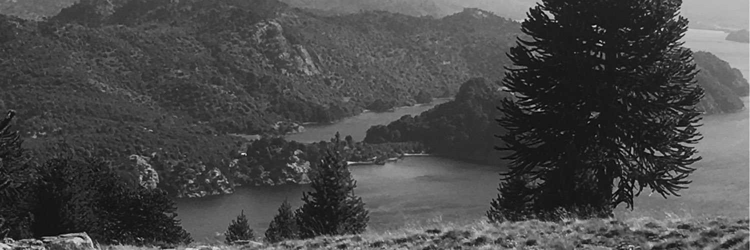 callaud19's profile banner image