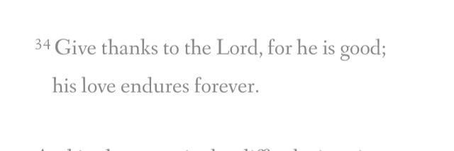 Katie Santorii banner