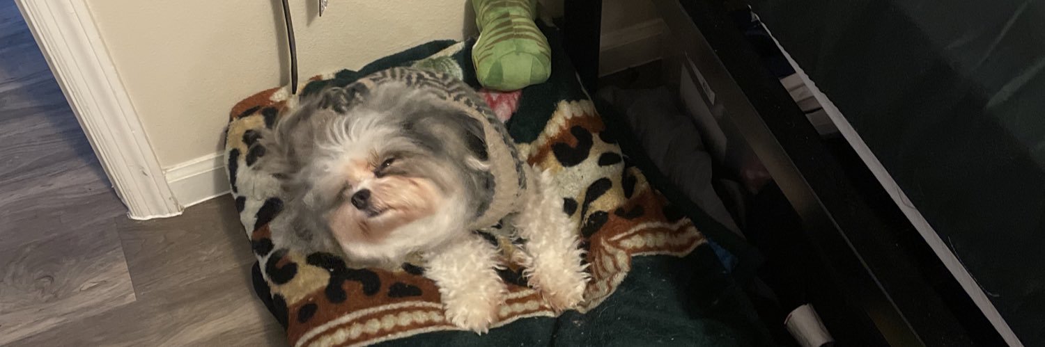 darealesthailey's profile banner image
