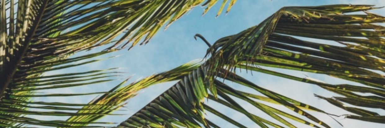 TheFeeneyCall's profile banner image
