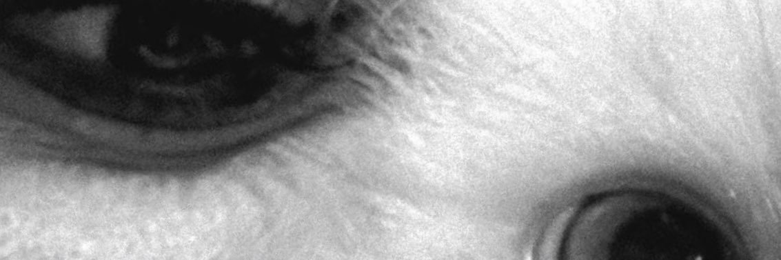 dmlerby's profile banner image