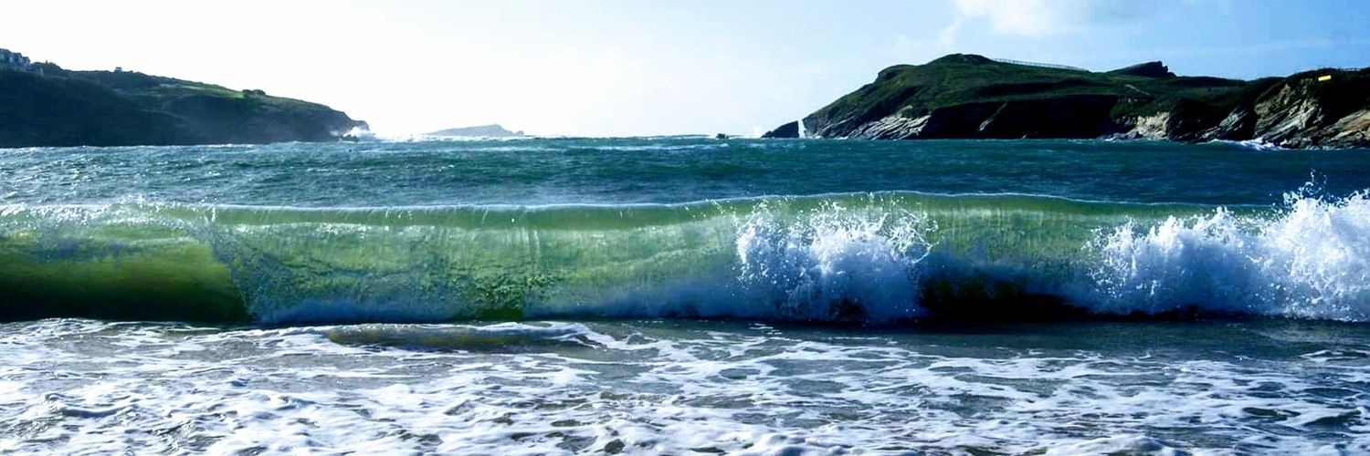 Liz M 🌟 (EM79) banner