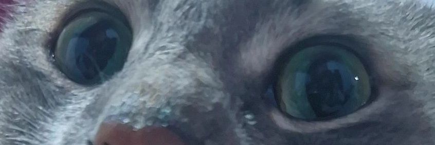 pframirez23's profile banner image