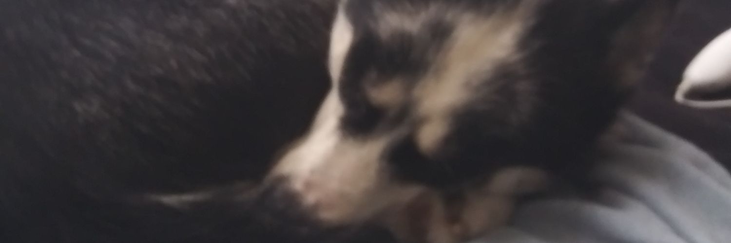 Somebodysson89's profile banner image