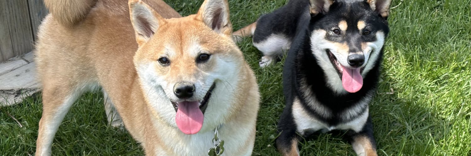 aiimeee__'s profile banner image
