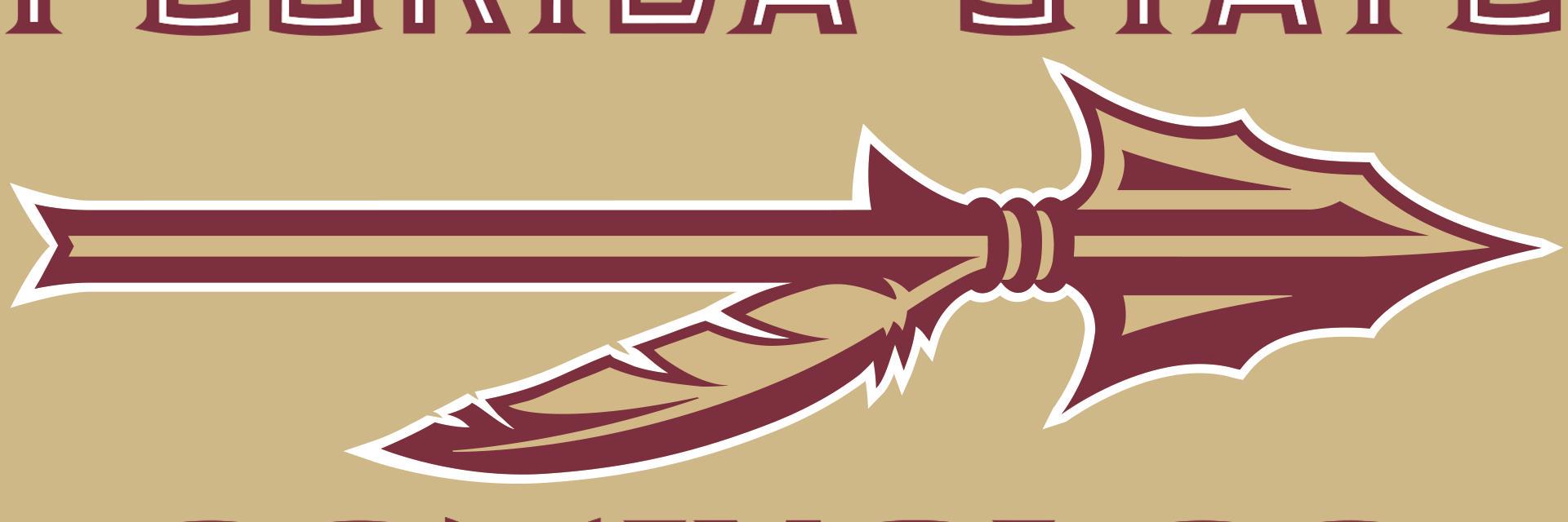 SeminoleVictory's profile banner image