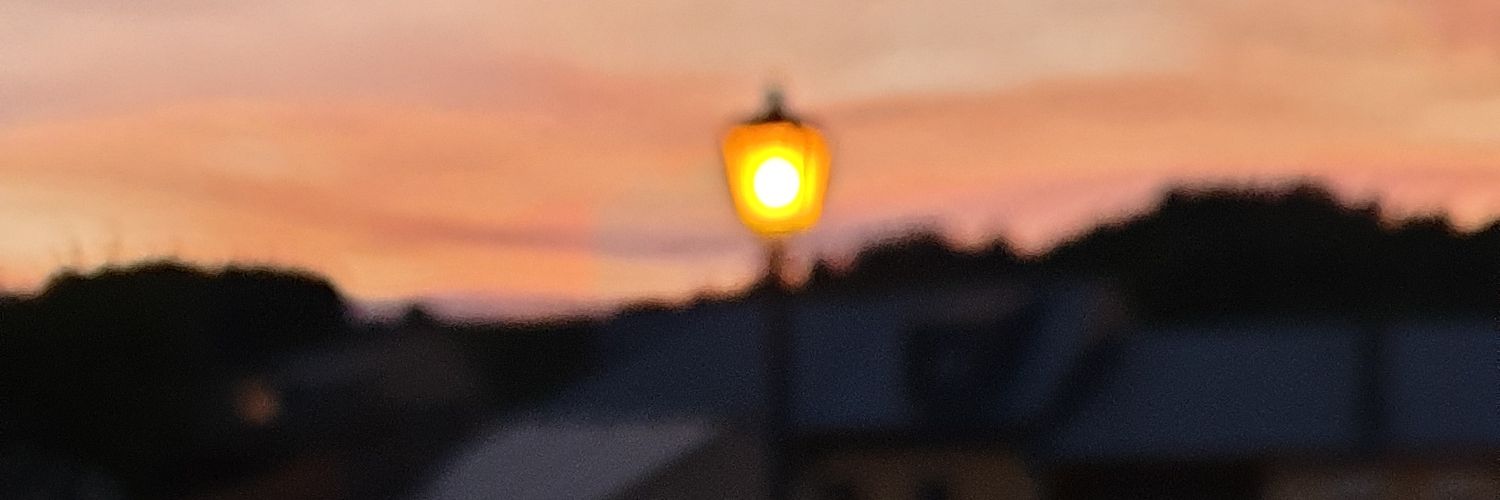 marimichis's profile banner image
