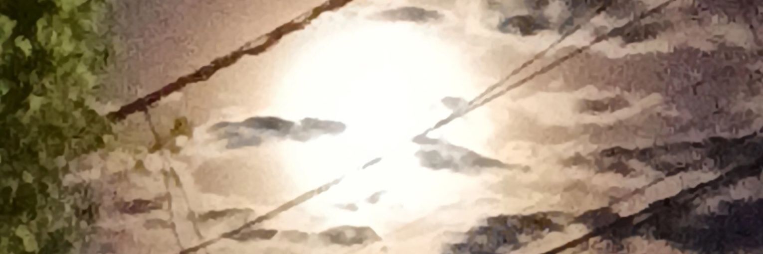 Liz🌺🎧 banner