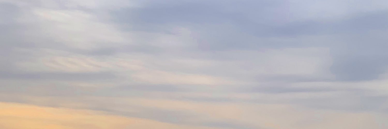ニドネスカ banner