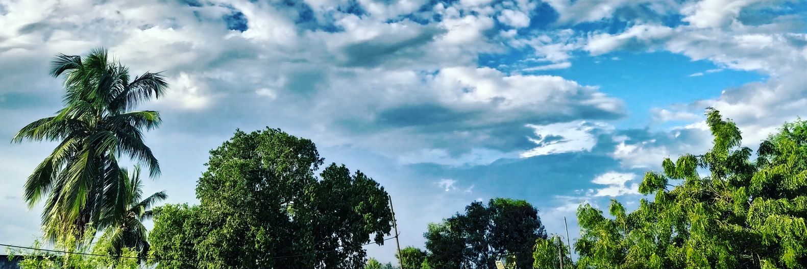navyasrinans's profile banner image