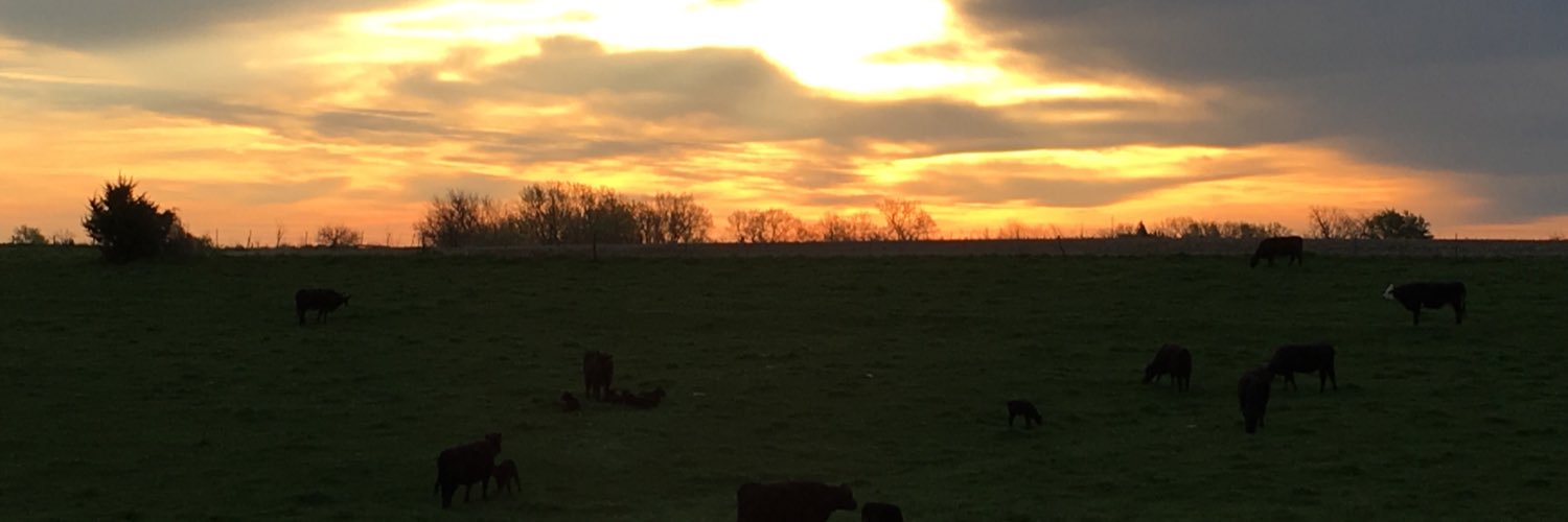 calebbaker41's profile banner image