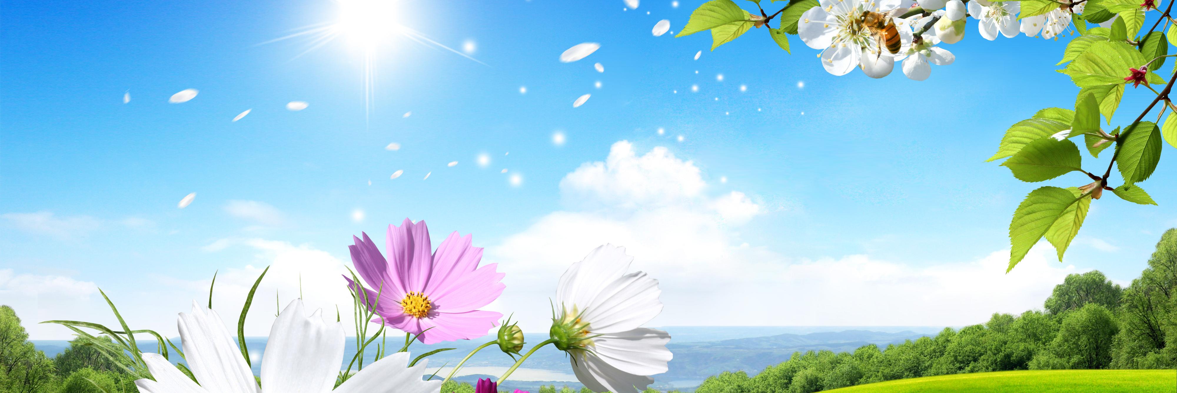 WandaHymes's profile banner image