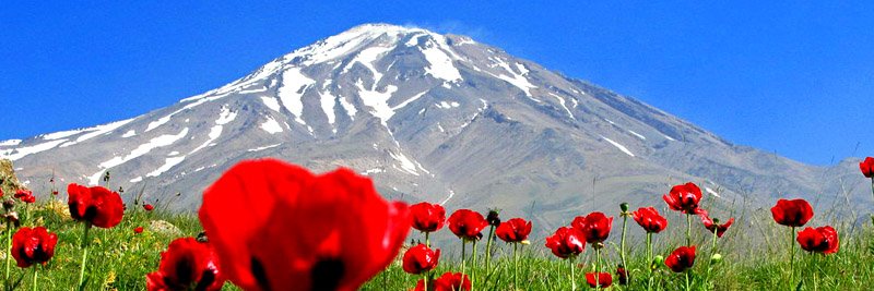 tarafar's profile banner image