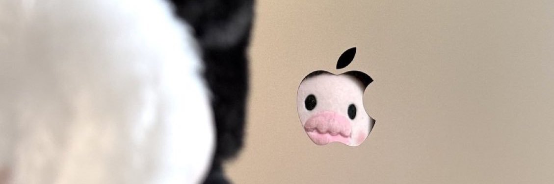 lxdidaaa's profile banner image
