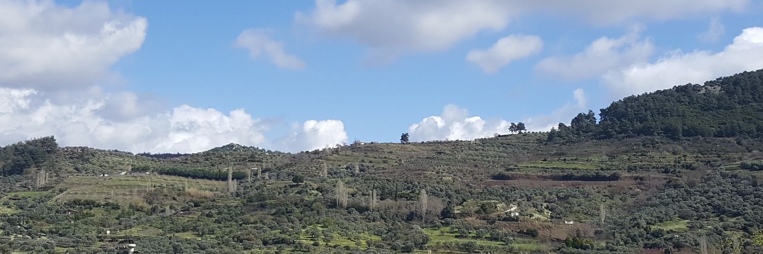 Talhuraiti's profile banner image