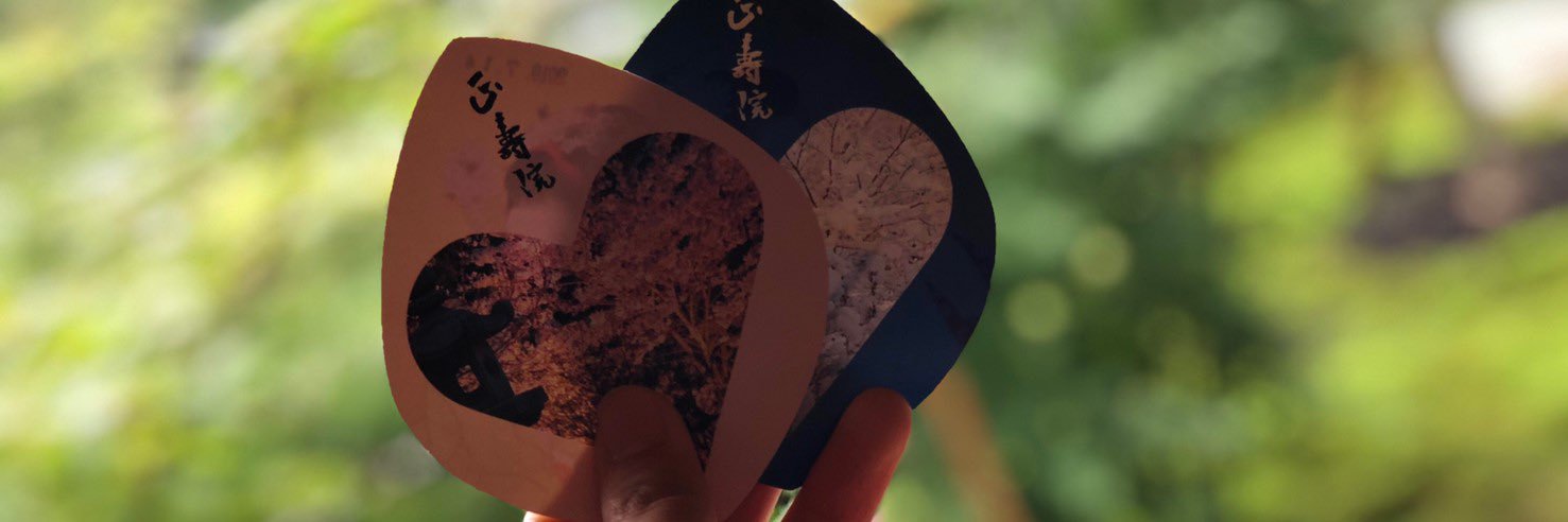 mutoh_taiki's profile banner image