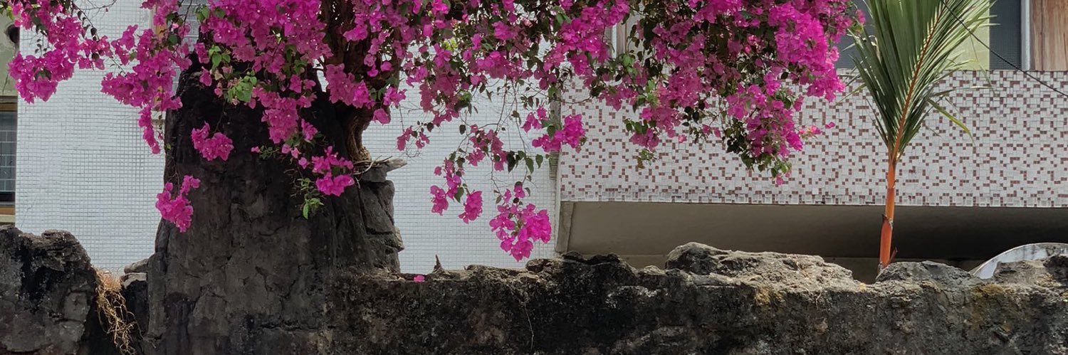 alphaabert's profile banner image